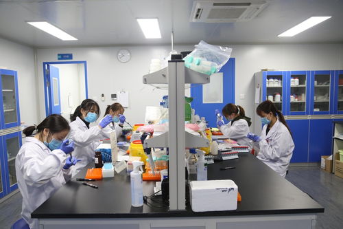 聚焦武漢解碼中部引擎 探訪光谷生物城，看生物制品技術(shù)開發(fā)如何驅(qū)動未來