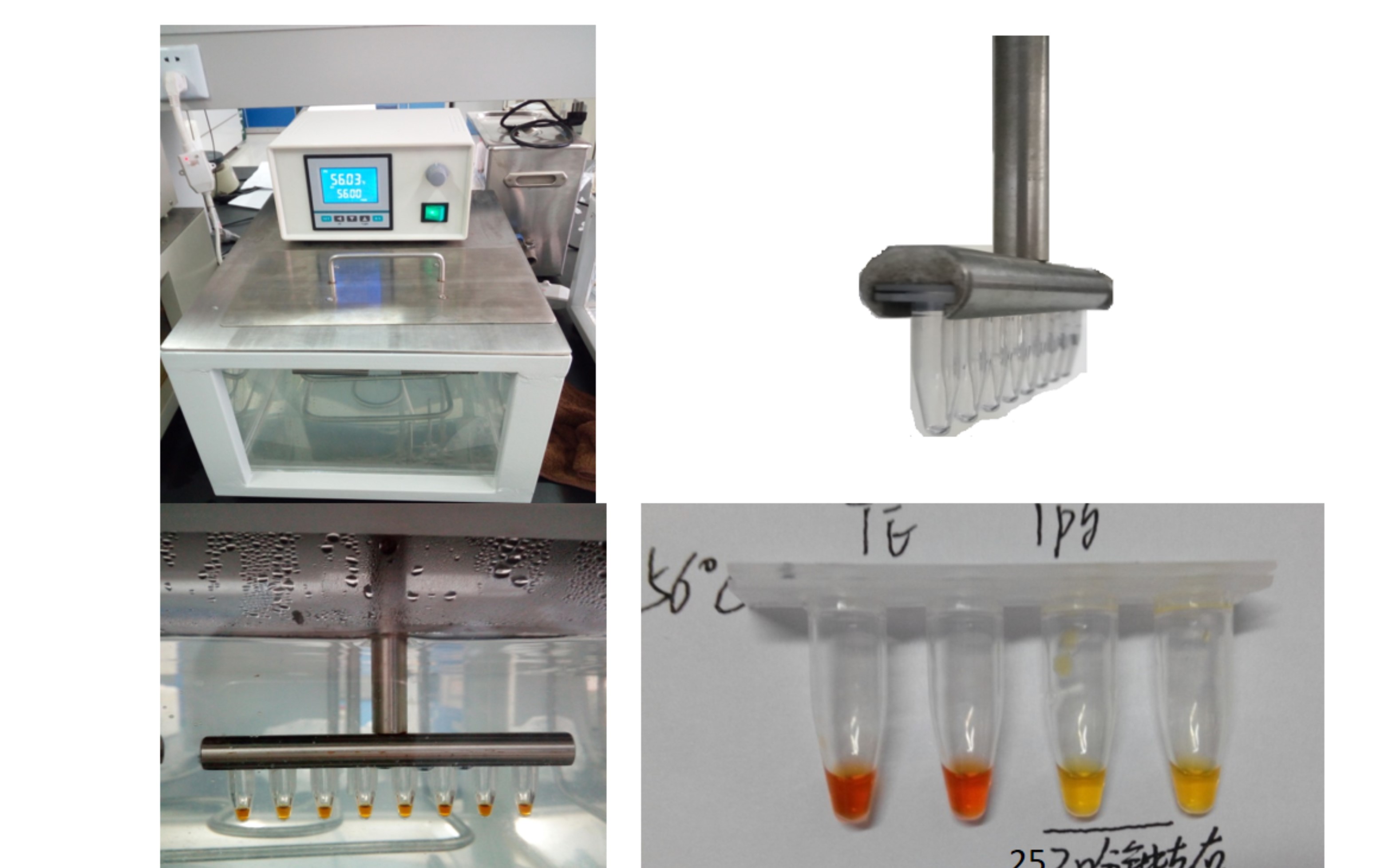 河南省食品安全生物標(biāo)識(shí)快檢技術(shù)重點(diǎn)實(shí)驗(yàn)室 引領(lǐng)生物制品技術(shù)開發(fā)新篇章