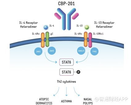 核心產(chǎn)品未上市即面臨競(jìng)爭(zhēng)擴(kuò)圍，康乃德生物拿什么說服華爾街